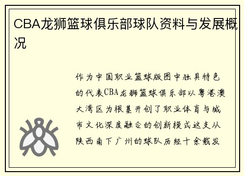 CBA龙狮篮球俱乐部球队资料与发展概况