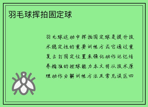 羽毛球挥拍固定球